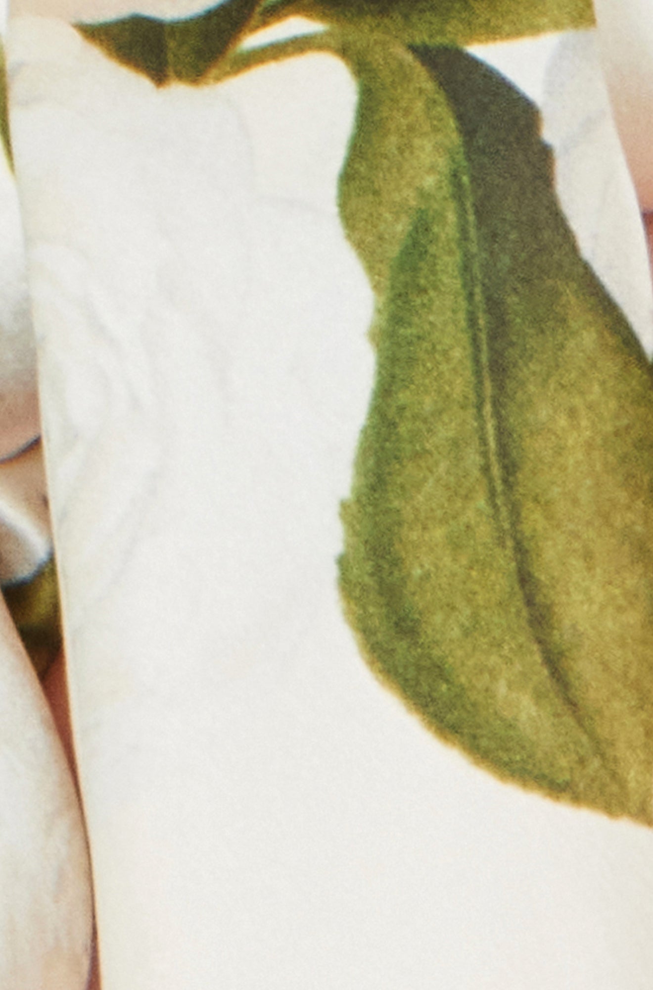 Yumi Ivory100% Silk Botanical Rose Print Scarf ACC SCARF Yumi