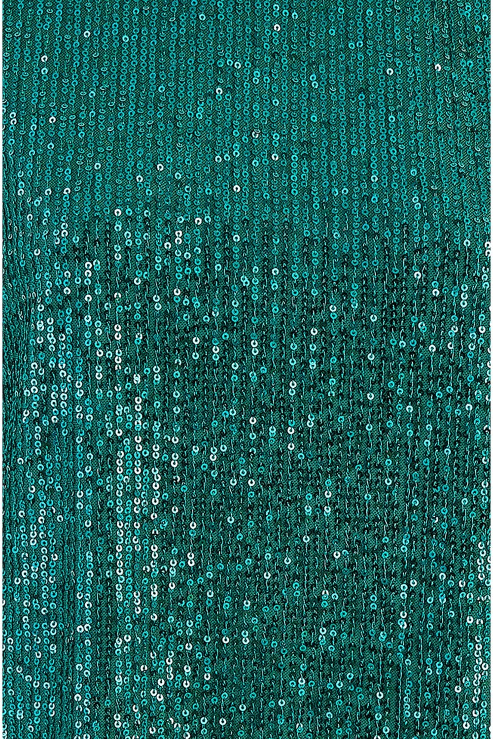 Yumi Green Sequin Top With Sheer Sleeves Yumi