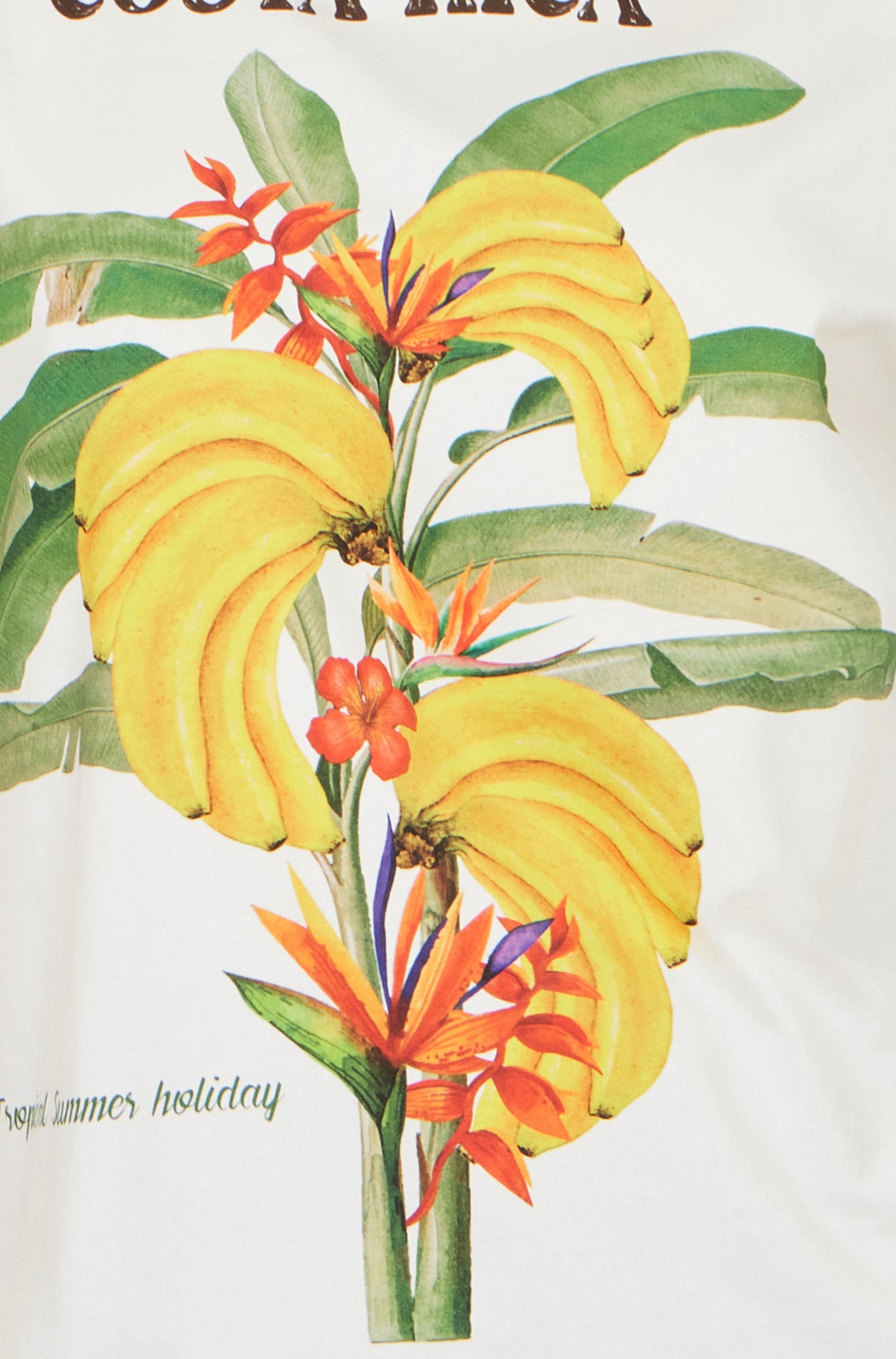 Yumi White Costa Rica Cotton T Shirt Tops Yumi